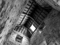 Muckross Abbey